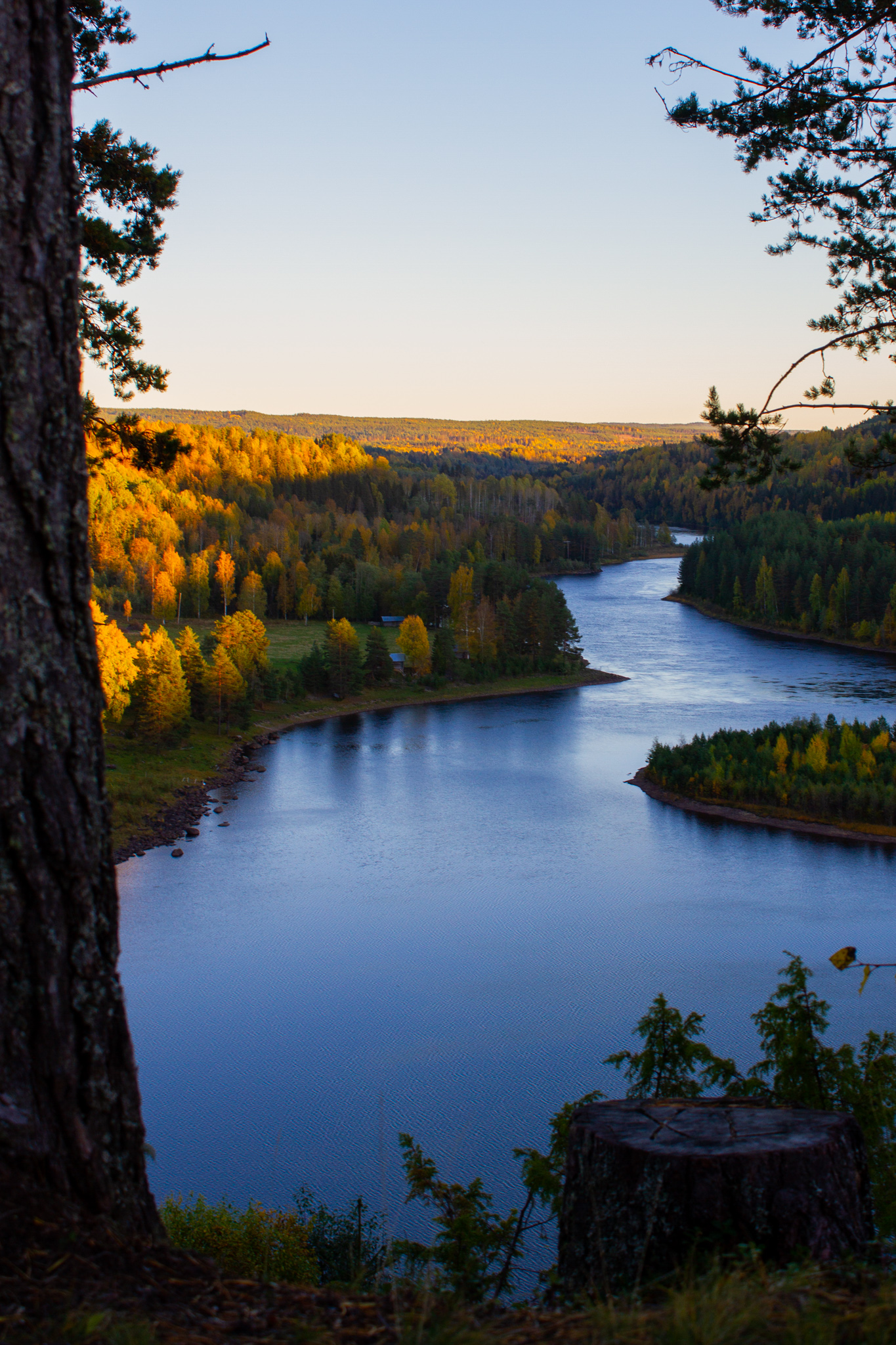 The Ångerman River